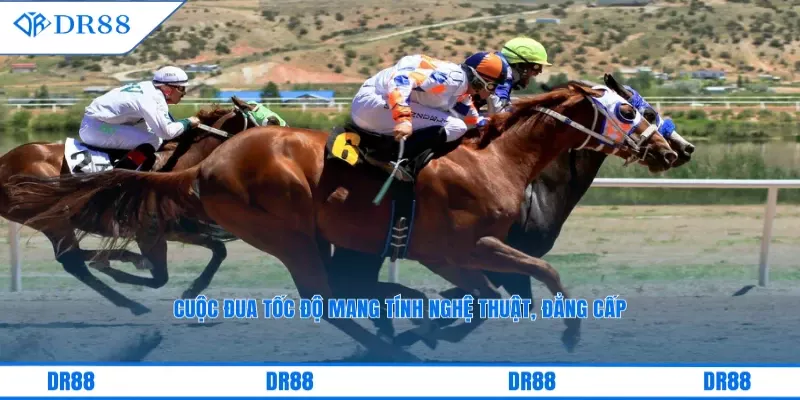 Cuộc đua tốc độ mang tính nghệ thuật, đẳng cấp