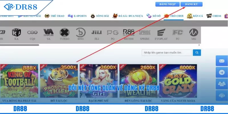 Đôi nét tổng quan về đăng ký DR88